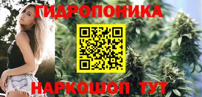 apvp Татарск